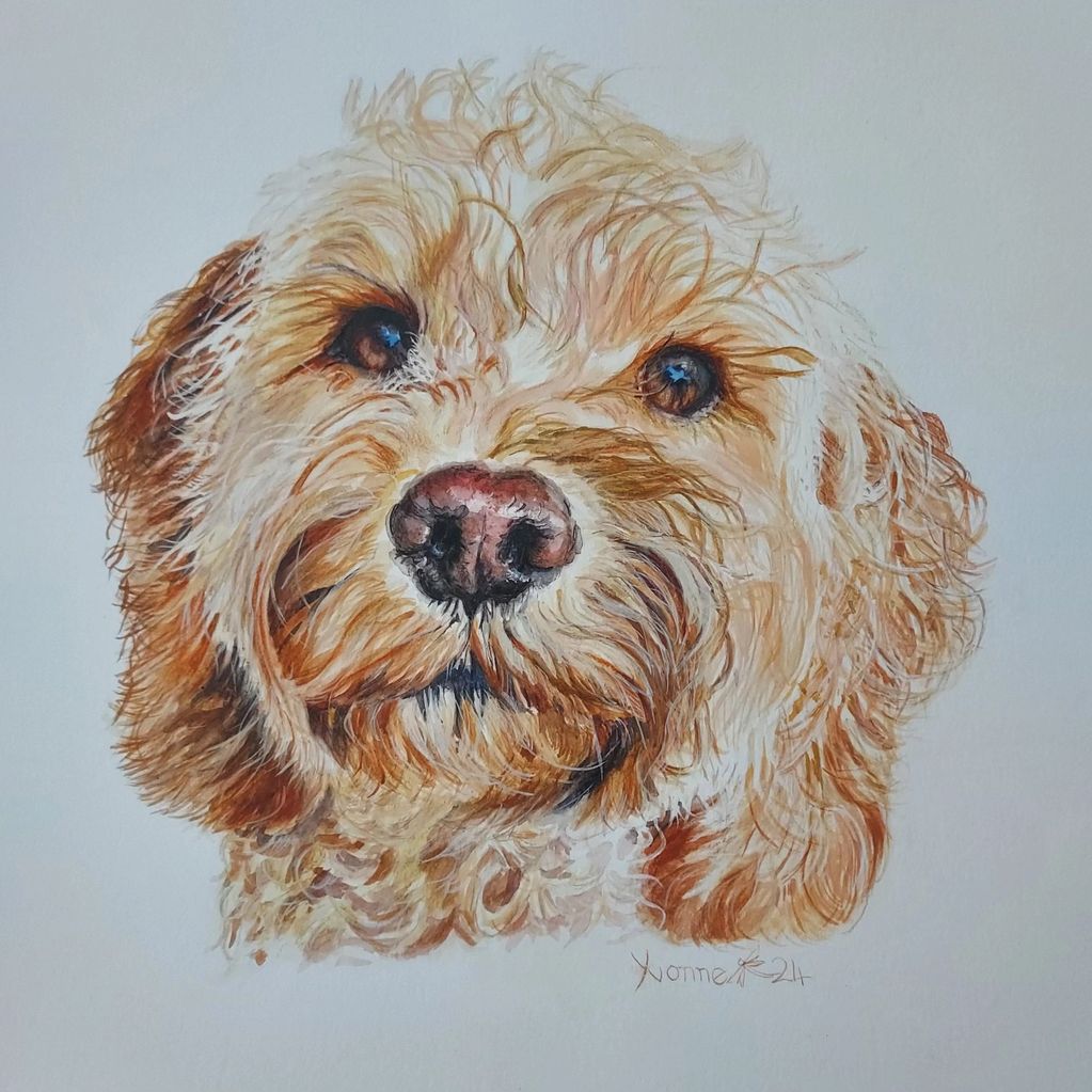 Watercolour portrait of cockapoo face with bright eyes and chestnut fur on white paper.