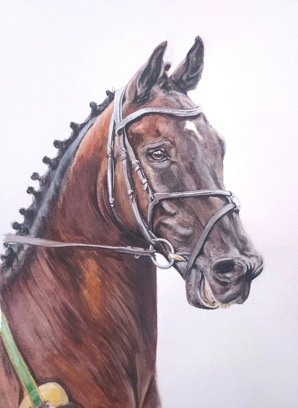 Portrait of a horse, head and neck. Brown with black mane and brown bridle in watercolour.