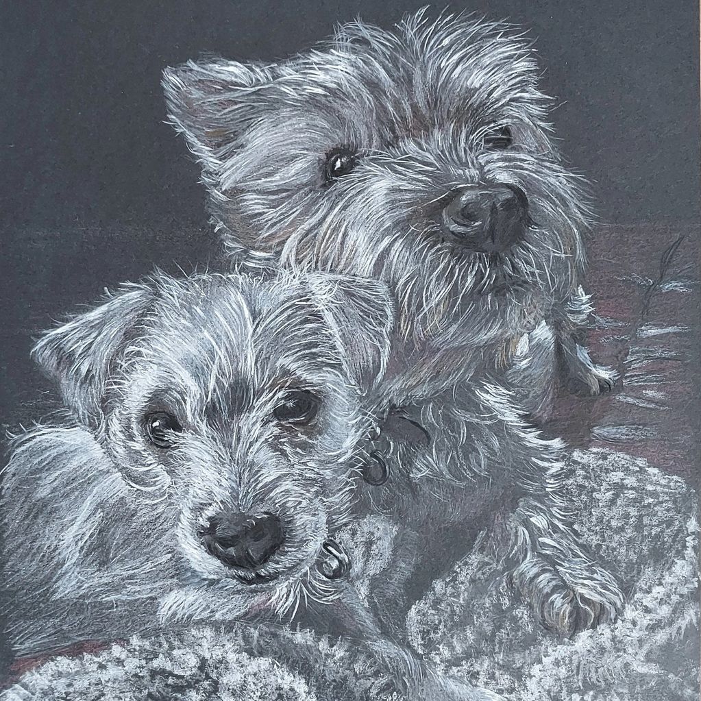 Portrait of puppy snuggled up with Westie dog. White pencil on black background.