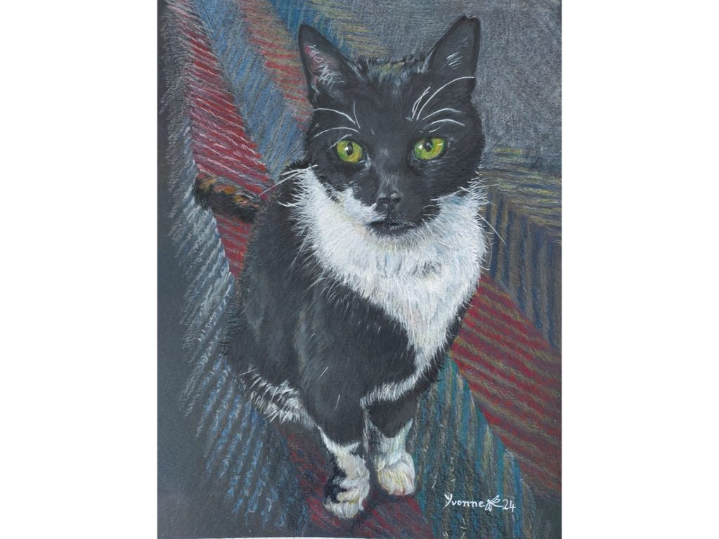 Portrait of a black and white cat sitting on a striped rug. Coloured pencil on black paper.
