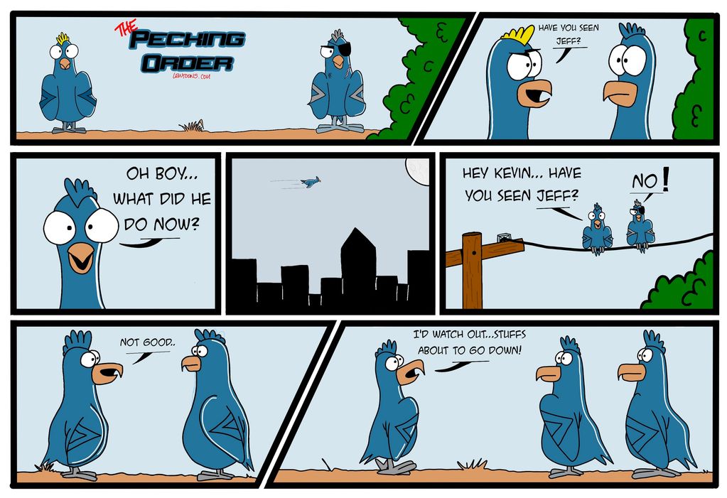 Pigeons searching for Jeff and warning of trouble.