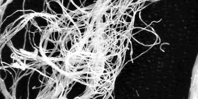 PROTEIN FIBRES BY GROUSE FIBRE