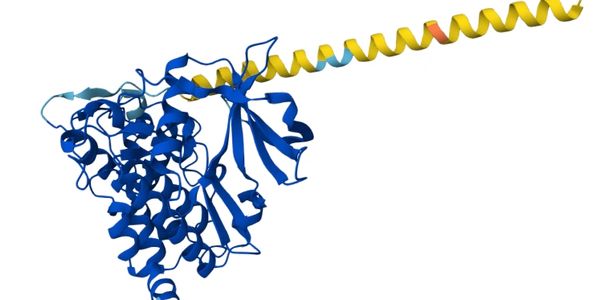 casein protein from alphafold