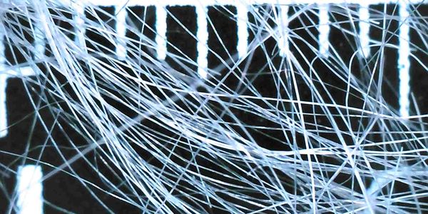 Close-up of a shattered glass with cracks radiating from the impact point.