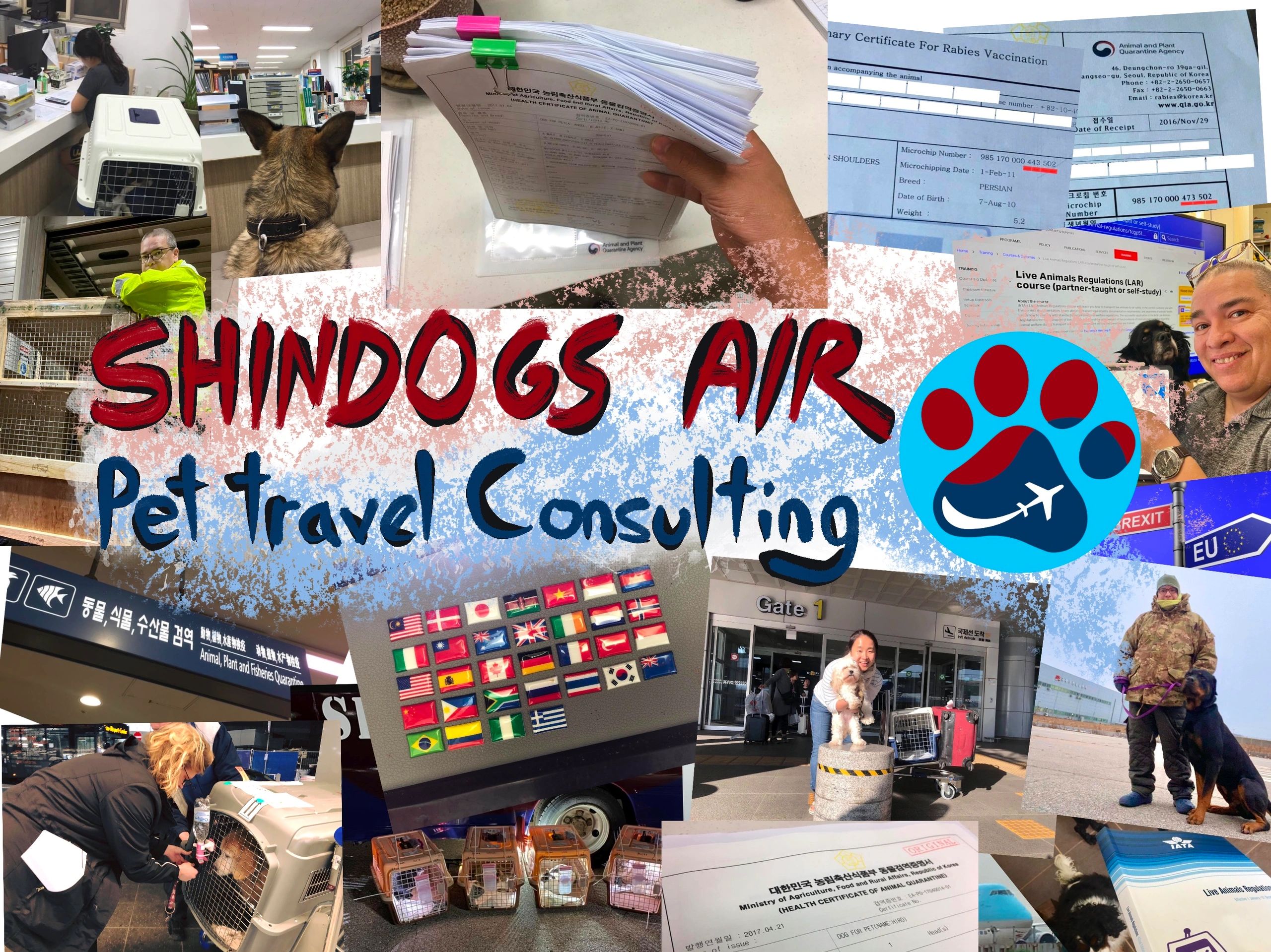 Shindogs Air