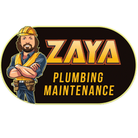 Zaya PM