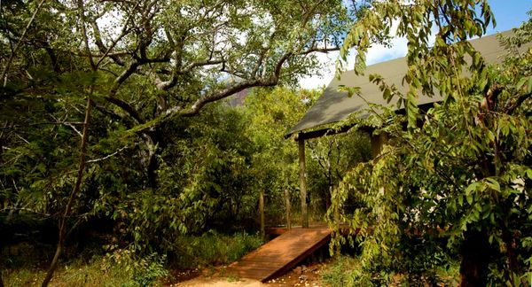 Accommodation Cape Vulture Lodge