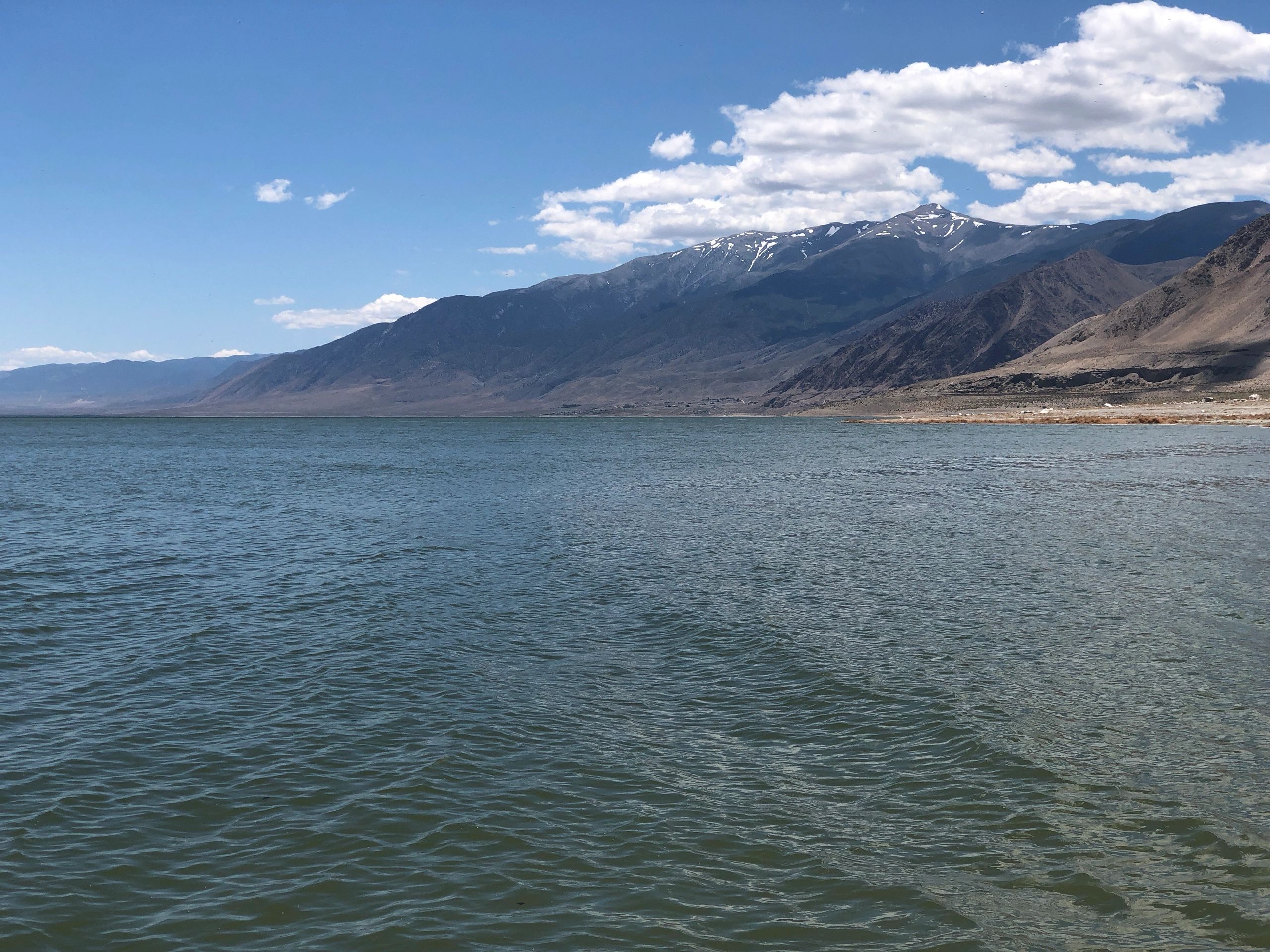 Walker Lake Working Group