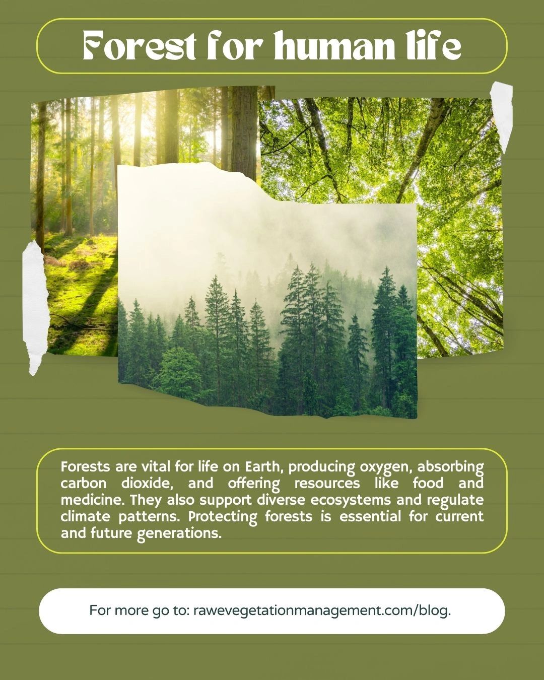 Forests for Human Life