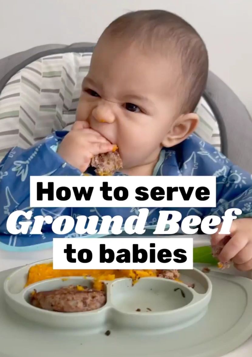 You can make ground meat with your food processor. It's a great way to make  meats easier for a young baby to eat : r/BabyLedWeaning