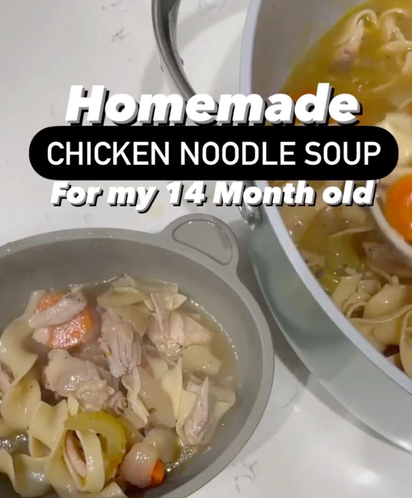 Homemade Instant Chicken Noodle Soup (Guest Post) - Overtime Cook