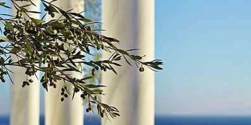 White marble columns with olive branches overlooking the blue sea.