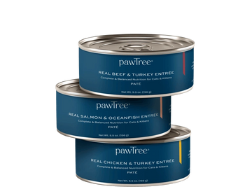 pawTree® Cat Food – Complete, grain-free nutrition made to support cats’ energy and overall health.
