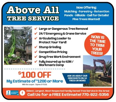 Tree Care Covington Above All Tree Care