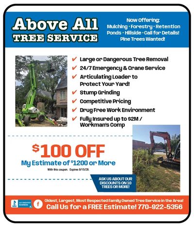 Above All Tree Service offers large tree removal, stump grinding, and emergency services with $100 off estimates.