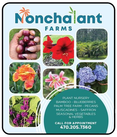 nonchalent nursery local produce Covington exclusive coupons and savings in Covington only HERE