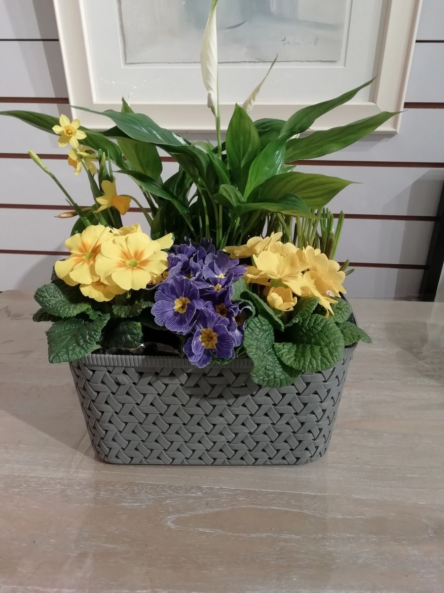 Spring Planted Basket