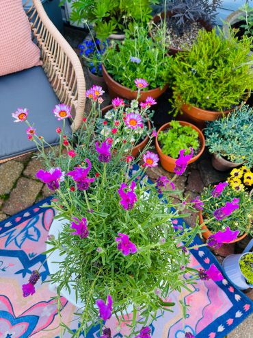 Vibrant potted flowers on a colorful outdoor rug beside a garden chair.