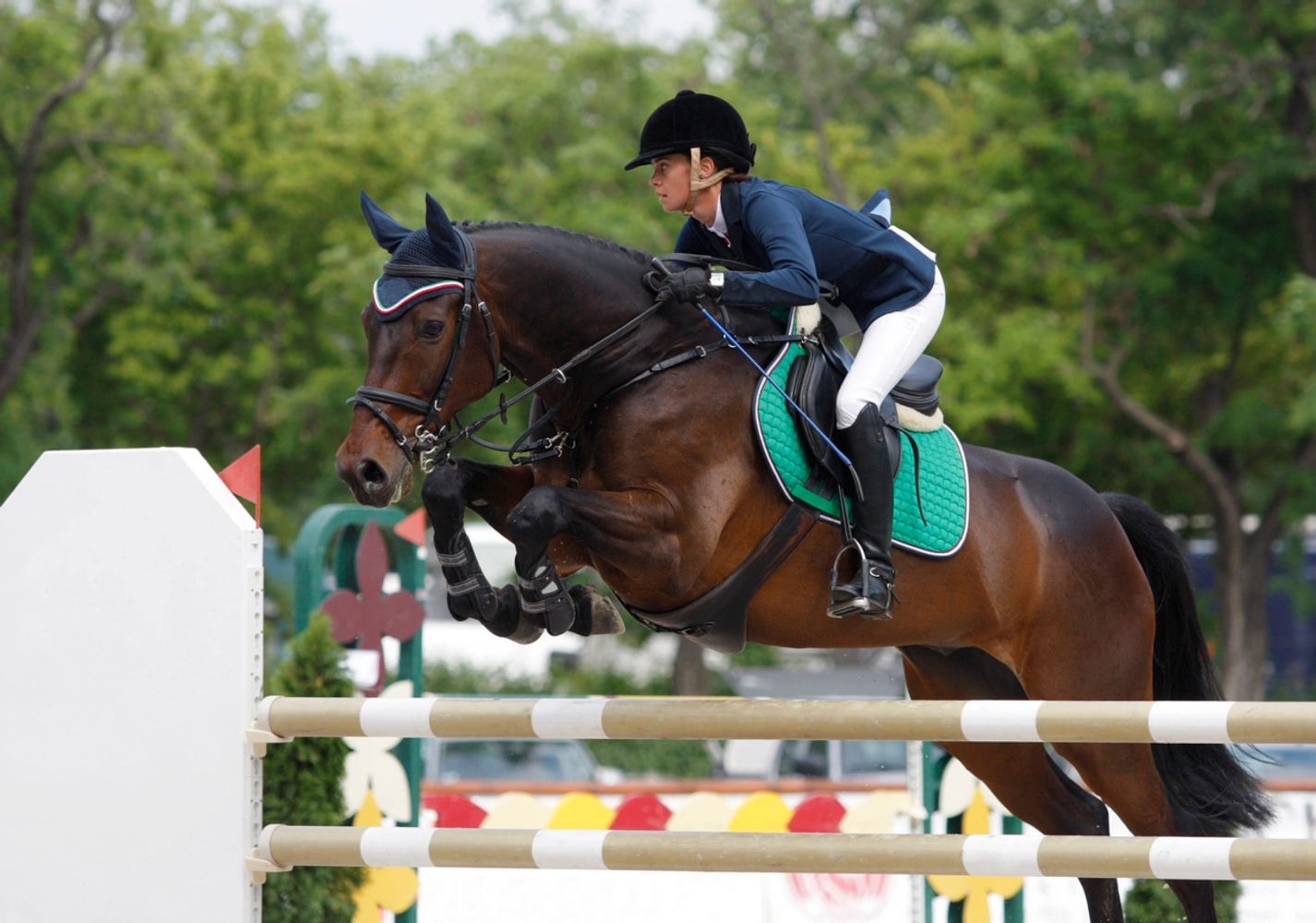 Lady rider and horse Showjumping