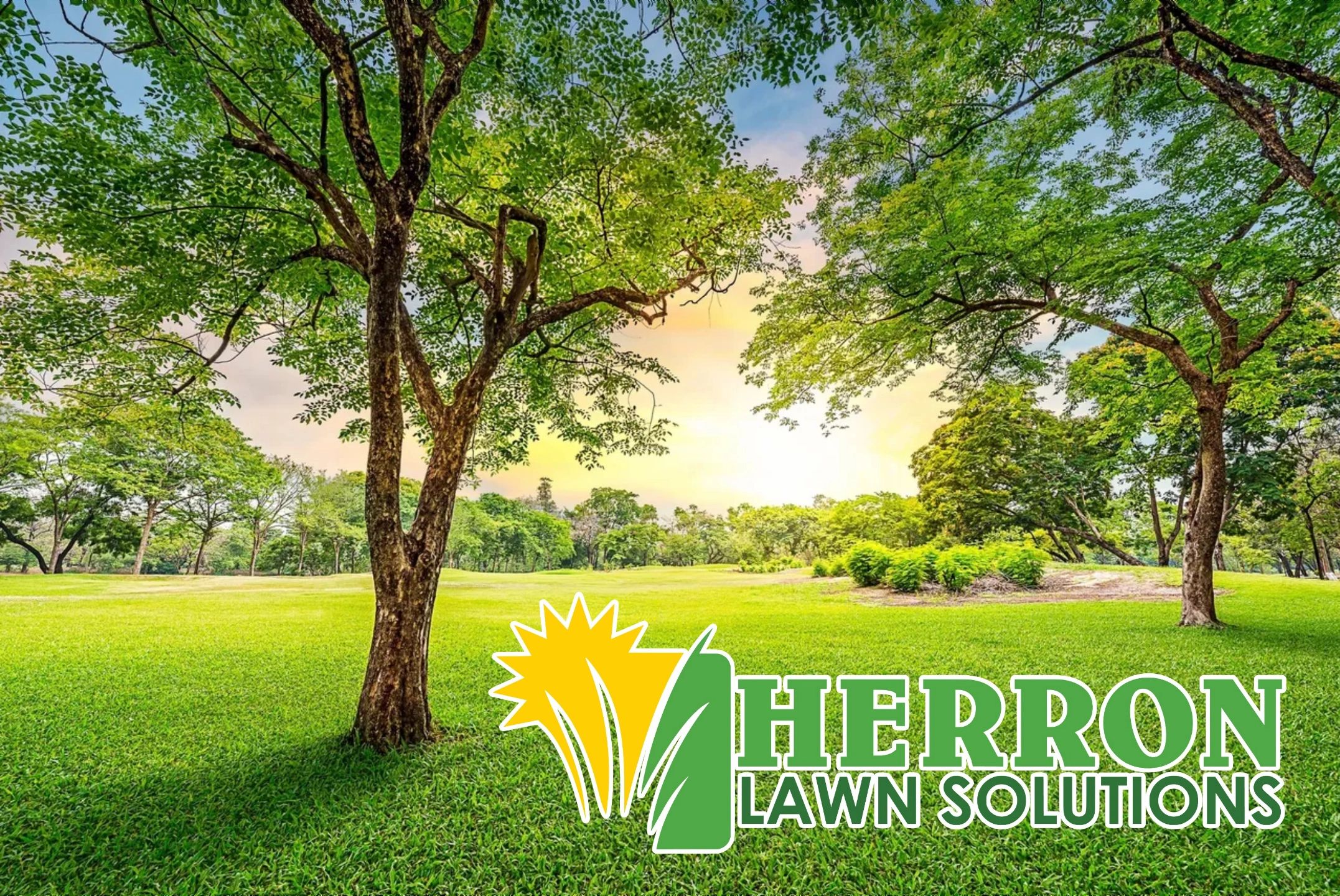 Herron Lawn Solutions