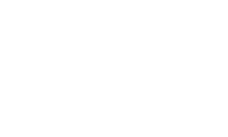 Hawkins Taxidermy