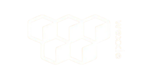 Wexxle logo with interlocking cube shapes representing structured, location-based digital assets.
