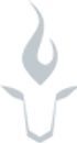 Black Ops Security Services
