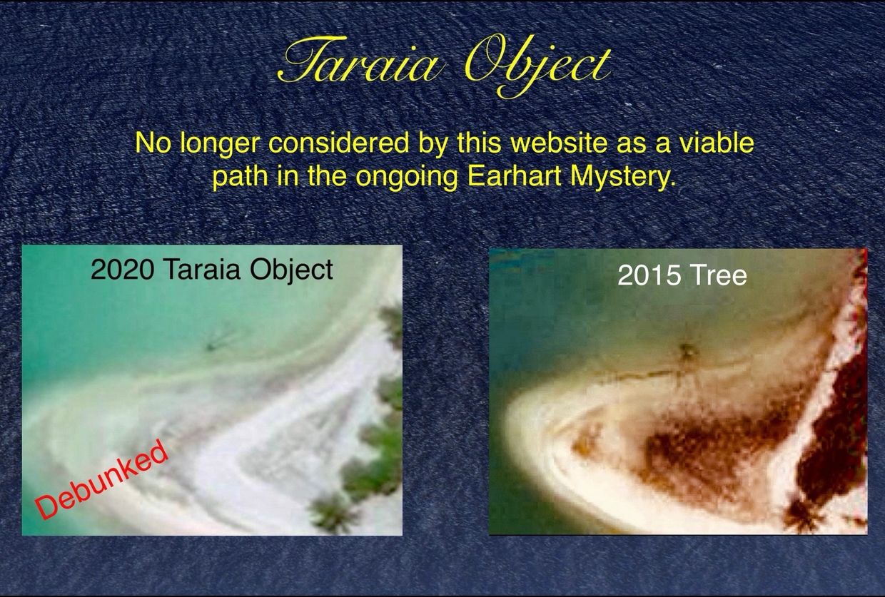 Image strongly suggests it’s merely a tree that washed ashore prior to Tropical Cyclone Pam of 2015.