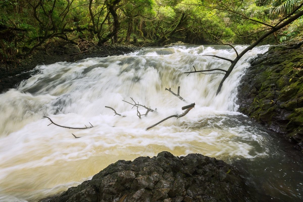 image5