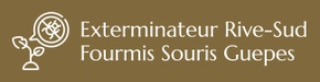 Exterminateur Rive-Sud Fourmis Souris Guepes