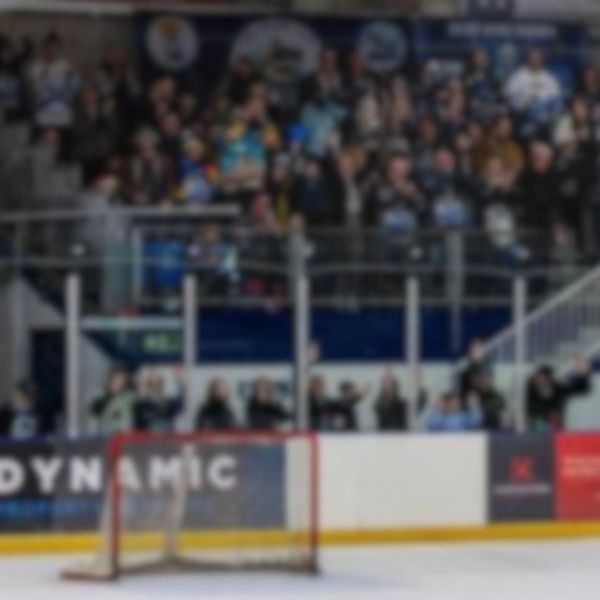 Empty ice hockey goal with fans in the background.