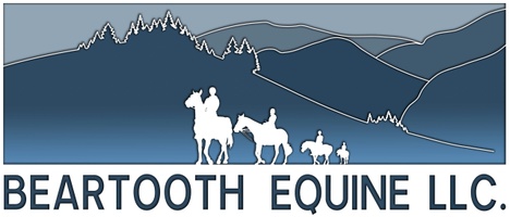 Beartooth Equine LLC