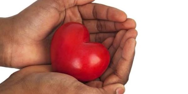 Hands gently holding a red heart symbol.
