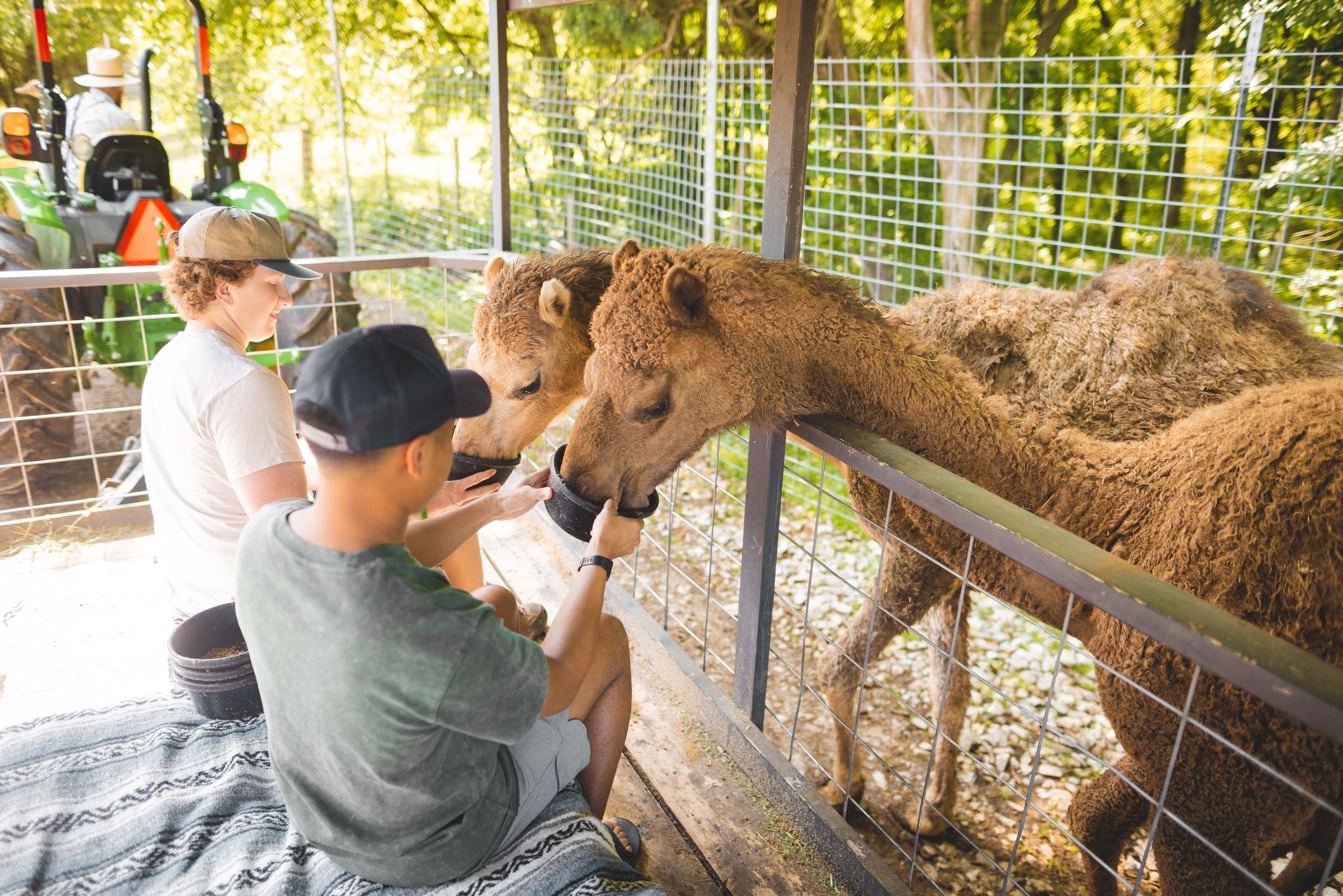 Dutch Country Safari Park