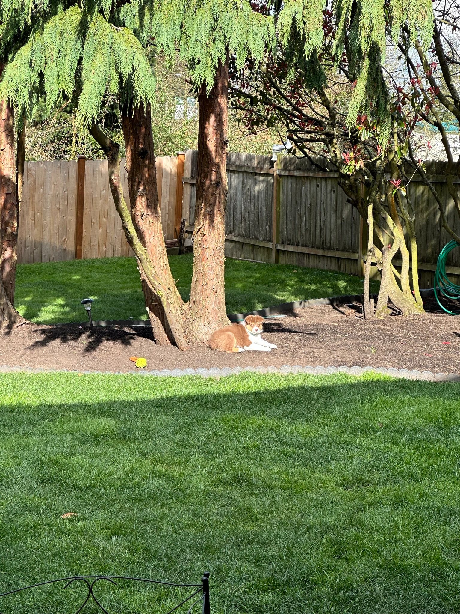 DELANEY'S LANDSCAPING LLC logo