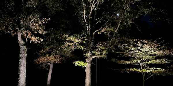 Landscape Lighting Bradenton, Sarasota. Outdoor Lighting in Heber Springs, Arkansas