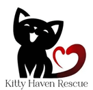  
         Kitty Haven Rescue  of El Dorado Hills CA 501(c)(3)
