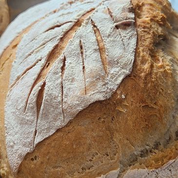 Sourdough