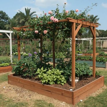 A wooden garden bed with climbing roses and various plants under a pergola.