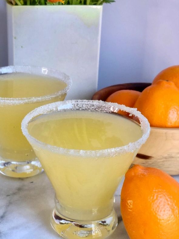 Two citrus cocktails with sugared rims, surrounded by fresh oranges.