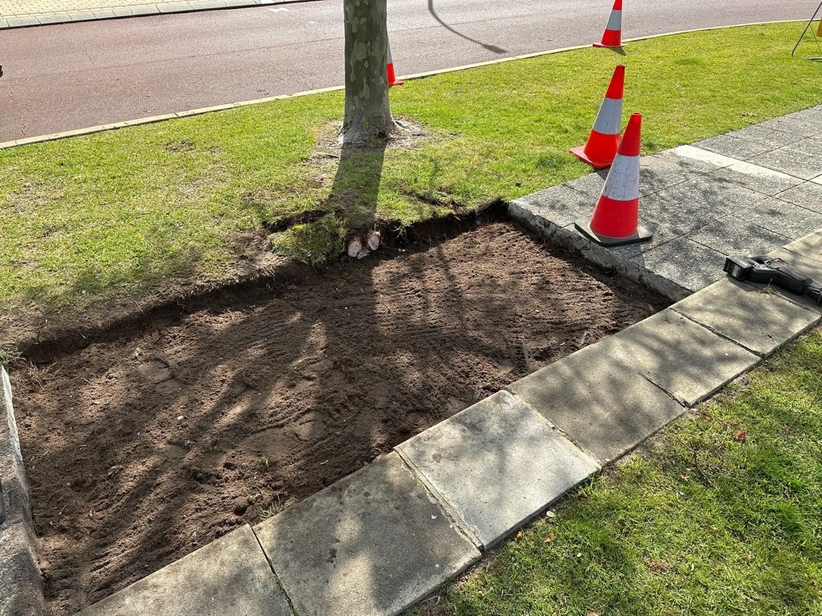 Freshly dug rectangular patch of soil beside a tree with traffic cones nearby.
