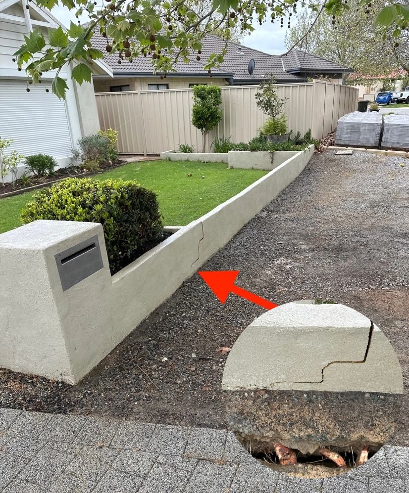 Cracked garden wall with close-up showing damage and exposed roots beneath.