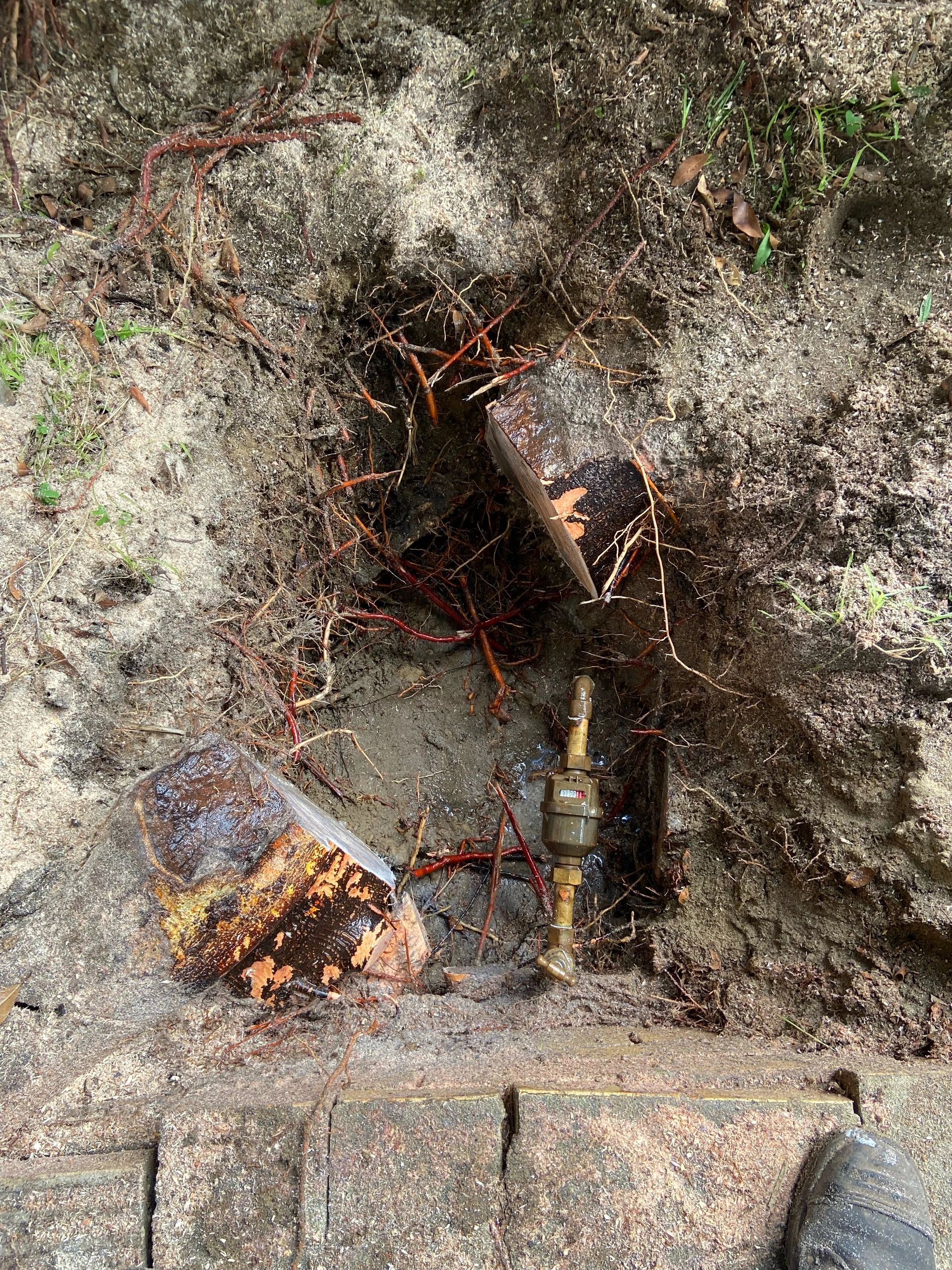 Exposed underground water meter with cut tree roots and soil.