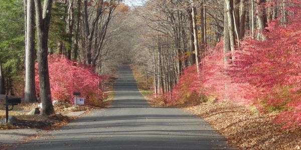 Mindful living, stress reduction