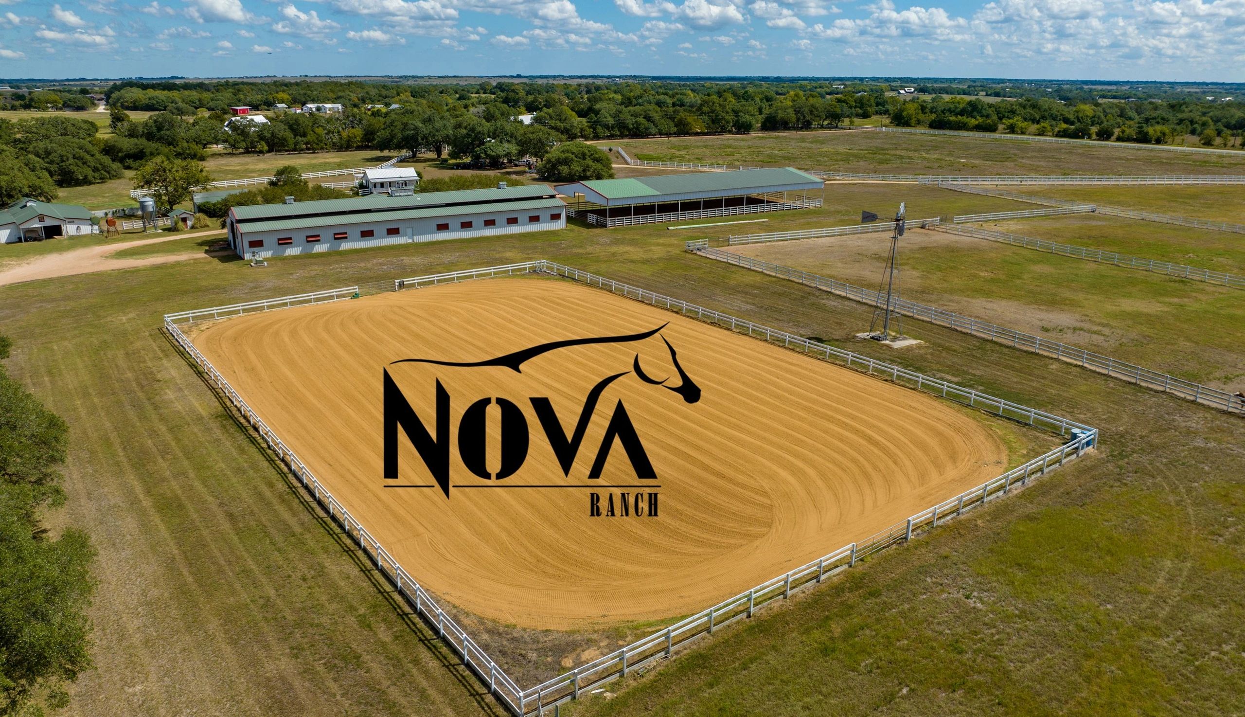 Available Horses