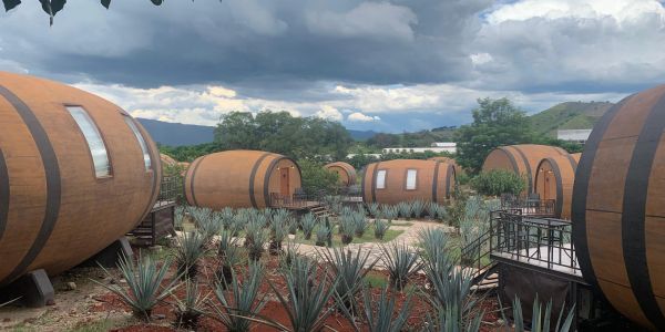 Casas en forma de barril rodeadas de plantas de agave bajo un cielo nublado.