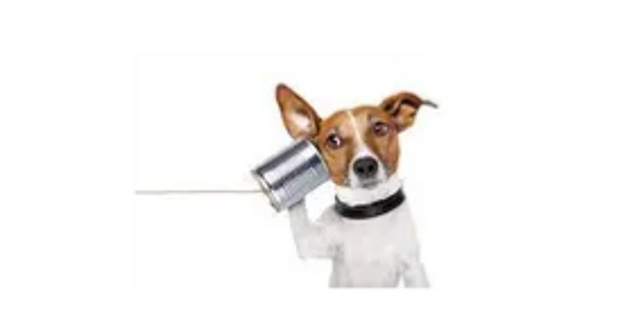 A dog listening to a tin can phone.