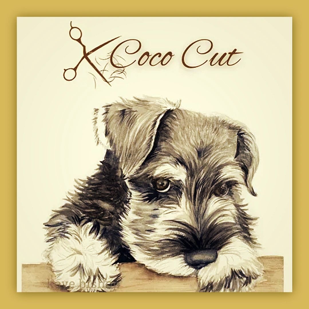 View of TOP 10 BEST Mobile Dog Grooming in Sooke, BC - Yelp