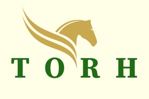 TORH CONSULTORÍA