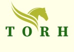 TORH CONSULTORÍA